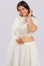 Load image into Gallery viewer, Two Side Work Half N Half Look Lehnga With High Neck Blouse